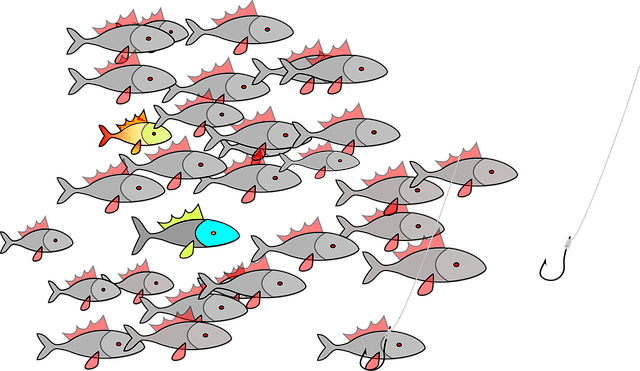 openclipart-vectors-fishing-154745_640